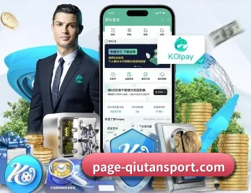 球探体育 APP 深度功能